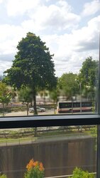 Woods Square (D25), Office #456297511